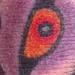 tattoo galleries/ - BAT ROSE MORPH - 56954